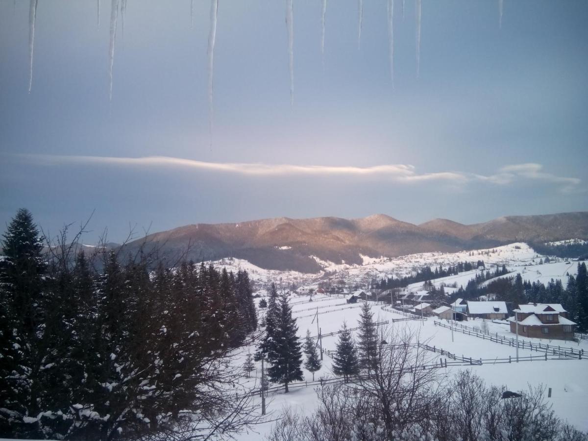 приватна 