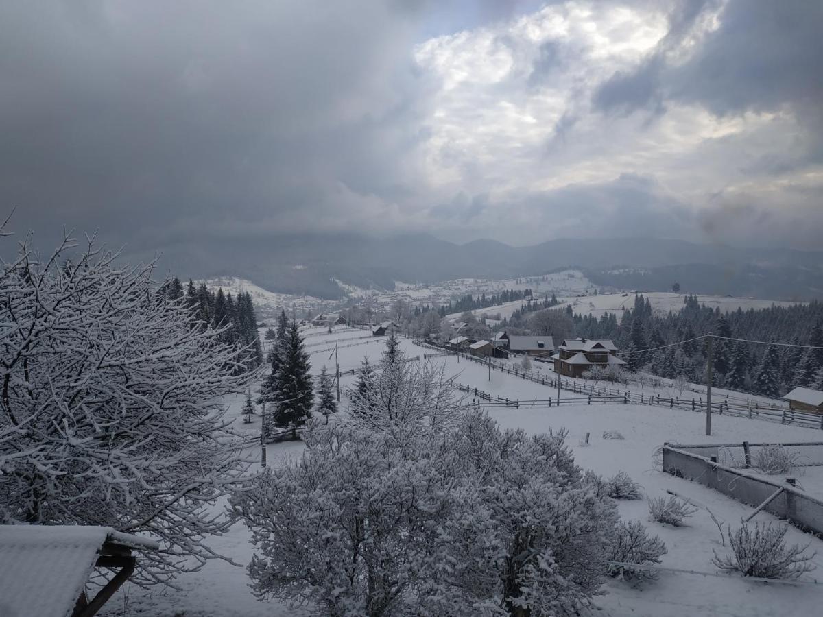 приватна 